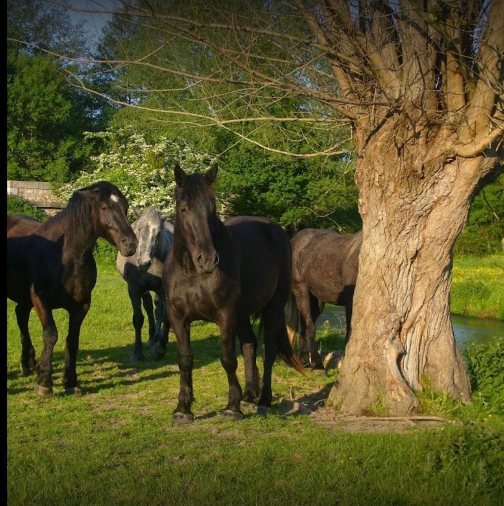 La Meuniere Villa Jouy  ภายนอก รูปภาพ