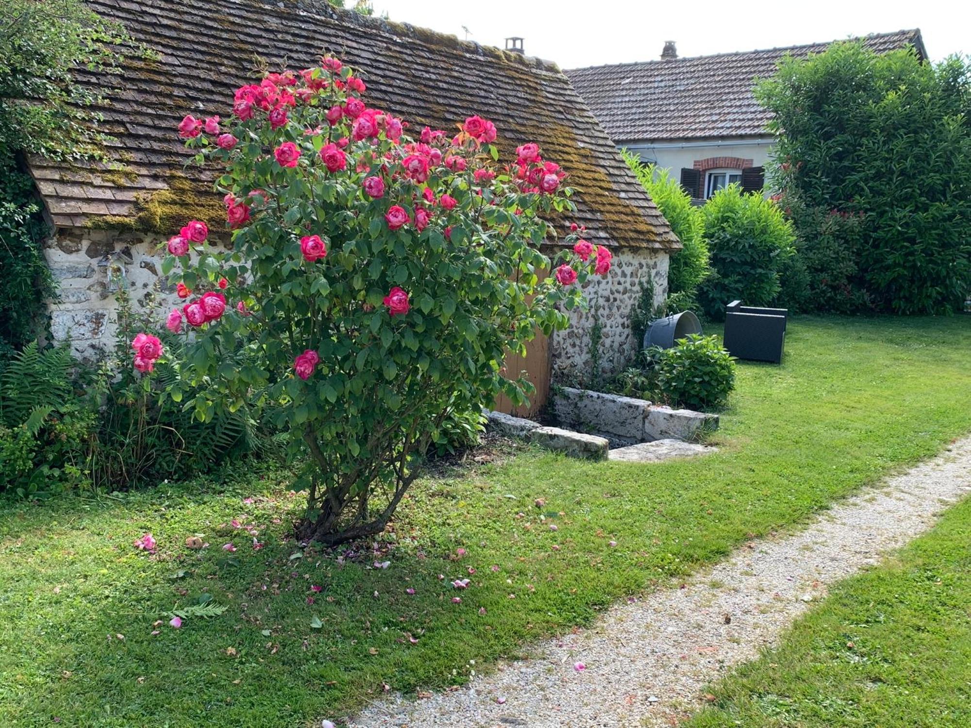 La Meuniere Villa Jouy  ภายนอก รูปภาพ